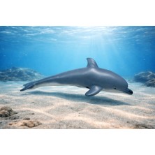 Arenes Deniz Hayvanları Serisi - Yunus 28 cm (Lisinya)