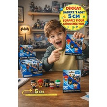 Toyfest Dc Buddies 3D Sürpriz Figür 5 cm Yumuşak Dokulu Koleksiyon Oyuncağı - 1 Adet