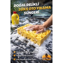 Fine Clean ( 2 Adet ) Doğal Delikli Oto Yıkama Süngeri , Araba Köpürtme Süngeri , Çok Amaçlı Sünger