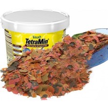 Tetra Min Pul Balık Yemi 250 gr Açık