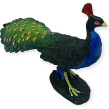 Aksiyon Global Hayvan Figürleri - Kuşlar -18 cm Tavus Kuşu (Lisinya)