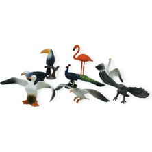 Aksiyon Global HY714-1 - Pvc De 4 Lü Kuş Figürleri 2 Ast (Lisinya)