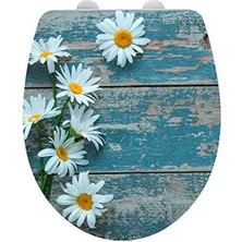 Wenko Asteride Klozet Kapağı