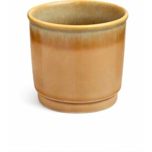 The Silk Bean Coffee Porselen Kulpsuz Açık Kahverengi Espresso Fincan Bardak