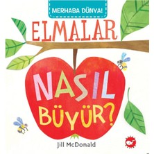 Aksiyon Global Merhaba Dünya - Elmalar Nasıl Büyür?