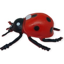 Böcek Figürleri - Gerçekçi Figür - Uğur Böceği 9 cm (Lisinya)