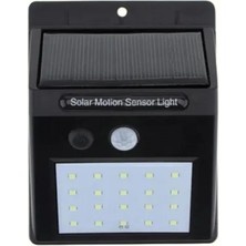 DP53 Duvar Lambası - Lisinya