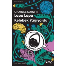 Lisinya Lapa Lapa Kelebek Yağıyordu