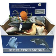 TH7500 - Deniz Hayvanları Display 12 (Lisinya)