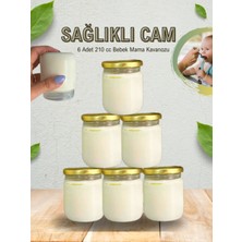 PremiumPort 6'lı Cam Bebek Mama Saklama Kabı, 210 Cc, Gold Kapaklı, Hacamat Kavanozu