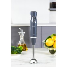 Allians 2 Yıl Garantili Siyah Çubuk Blender, Hafif ve Kullanışlı