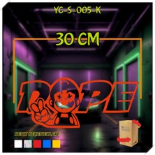 Pi Dekorasyon Araba, Motosiklet, Cam, Kapı, Kaporta, Sticker Etiket