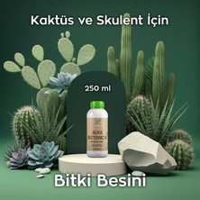 Ferment Tarım Ferment Aura Botanica 250 ml Kaktüs ve Skulent Için Daha Canlı Görünüm ve Dengeli Büyüme