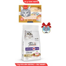 Felicia 3lü Set: Hipoalerjenik Somonlu Kısır Kedi Maması 2kg + 50X14GR Wanpy Krema Kedi Ödülü Ezme Hediyeli!