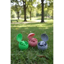 Dinozor Yumurtası-Çatlayan Oyuncak Yumurta-Dino Egg / 3 Adet, 3 Renk, 3 Farklı Tür Dinozor Yumurtası