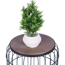 Yapay Çiçek Sitesi Beton Saksıda Yapay Bitkili Tanzimler Model 5