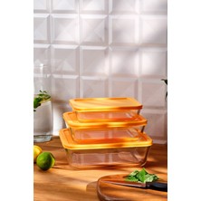 PremiumPort Daisy 3'lü Borosilikat Saklama Kabı Seti, Sağlıklı ve Şeffaf Saklama Çözümü