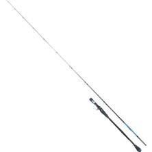 Ryuji Seahunter Ca 206 cm 80-300G Aksiyonlu 2 Parça Tetikli Jig Kamışı(Fuji Halka)