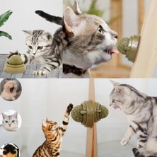 Ett Kedi Nanesi Oyun Topu