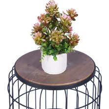 Yapay Çiçek Sitesi Beton Saksıda Yapay Bitkili Tanzimler Model 8