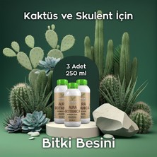 Ferment Aura Botanica Üçlü 250 ml (3 Adet) Kaktüs ve Skulent Için Daha Canlı Görünüm ve Dengeli Büyüme