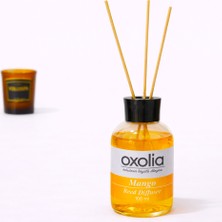 Madame Nazar Mango Çubuklu Ev & Oda Kokusu 100 ml