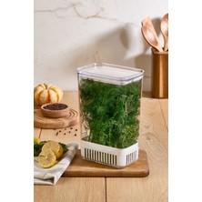 PremiumPort Yüksek Kapasiteli Yeşillik Saklama Kabı, Buzdolabı Tazelik Kutu