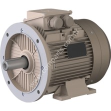 Omega Im B35 Elektrik Motoru Ie3 – 11 Kw / 50Hz – Alüminyum Gövde