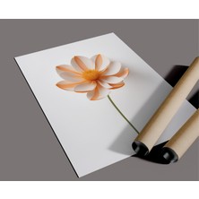 Rosa Art Çerçevesiz Poster - Çiçek Temalı Soyut, Minimalist Poster -Yüksek Çözünürlüklü-Dijital Baskı