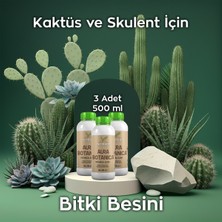 Ferment Tarım Ferment Aura Botanica Üçlü 500 ml (3 Adet) Kaktüs ve Skulent Için Daha Canlı Görünüm ve Dengeli Büyüme