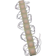 Powerr Led Aydınlatma 20 Adet 12 Volt 2 Watt Yeni Model Amber Sarı Cob LED Modül IP65