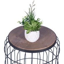 Yapay Çiçek Sitesi Beton Saksıda Yapay Bitkili Tanzimler Model 10