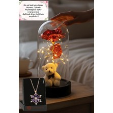 Lapidaria Beyaz Ayıcık ile Kırmızı Sonsuzluk Güllü LED Işıklı Fanus ve Lotus Kolye Sevgiliye Özel Hediye