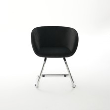 Ekopol Sandalye Yönsüz Baby Face Ekstra Süngerli U Ayak Lion | Ev, Ofis, Çocuk Odası Çalışma Sandalyesi