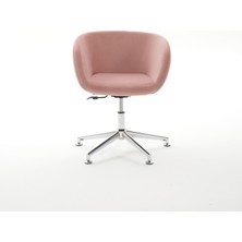 Ekopol Sandalye Yönsüz Baby Face Ekstra Süngerli Bingo Ayak Lion | Ev, Ofis, Çocuk Odası Çalışma Sandalyesi