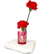 Missi Flora Design- Minimal Kırmızı Kesme Cam Vazo