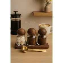 PremiumPort 4’lü Kahve Köşesi Kavanoz Seti, Akasya Kapaklı, Cam, Gold, Ölçü Kaşığı, Standlı