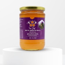 Toros Dağı Deve Dikeni Çiçek Balı 860 G E