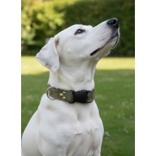 Balkonda Köpek Boyun Tasması Ayarlanabilir Minik, Küçük, Orta ve Büyük Irk Kolon Kordon Kamuflaj