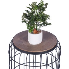 Yapay Çiçek Sitesi Beton Saksıda Yapay Bitkili Tanzimler Model 12