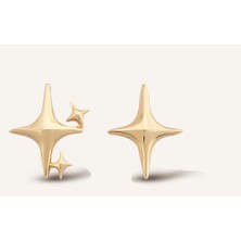 Aja Novira Yıldız Figürlü Kombin Pimli Altın Küpe