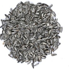 Sukar Grup Papağan Tuzsuz Çekirdek 1 kg+1 PAKET JOYFUL PARAKET KRAKER ( PAKET İÇİ 3 ADET )