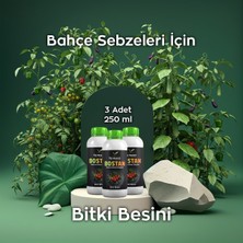 Ferment Tarım Ferment Bostan Üçlü 250 ml (3 Adet) Bahçe Sebzeleri ve Hobi Bahçeciliği Için Doğal Lezzet ve Yüksek Verim