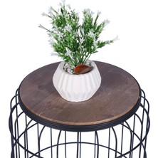 Yapay Çiçek Sitesi Beton Saksıda Yapay Çiçekli Tanzimler Model 12