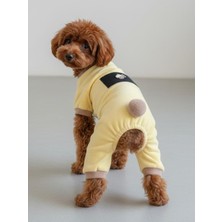 Kemique Sunny Cake Pastel Sarı Ince Kadife Köpek Tulum Pijama