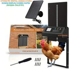 PremiumPort Güneş Enerjili Otomatik Zaman Ayarlı Güvenli Tavuk Kapısı