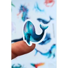 Kolbi Craft 13 Adet Suluboya Balık Balina Okyanus Temalı Sticker Bullet Journal Scrapbook Laptop Sticker