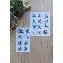 Kolbi Craft 2 Sayfa 20 Adet Kuş  Sticker Seti Mavi Sakura Kuş Sticker Vintage Sticker