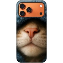 Senada iPhone 17 Pro Velvet Kılıf Lansman Içi Kadife Temalı Desenli Silikon Street Cat