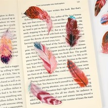 Kolbi Craft 40 Adet Şeffaf Turuncu Kuş Tüyü Sticker Bullet Journal Scrapbook Laptop Ajanda Planlayıcı